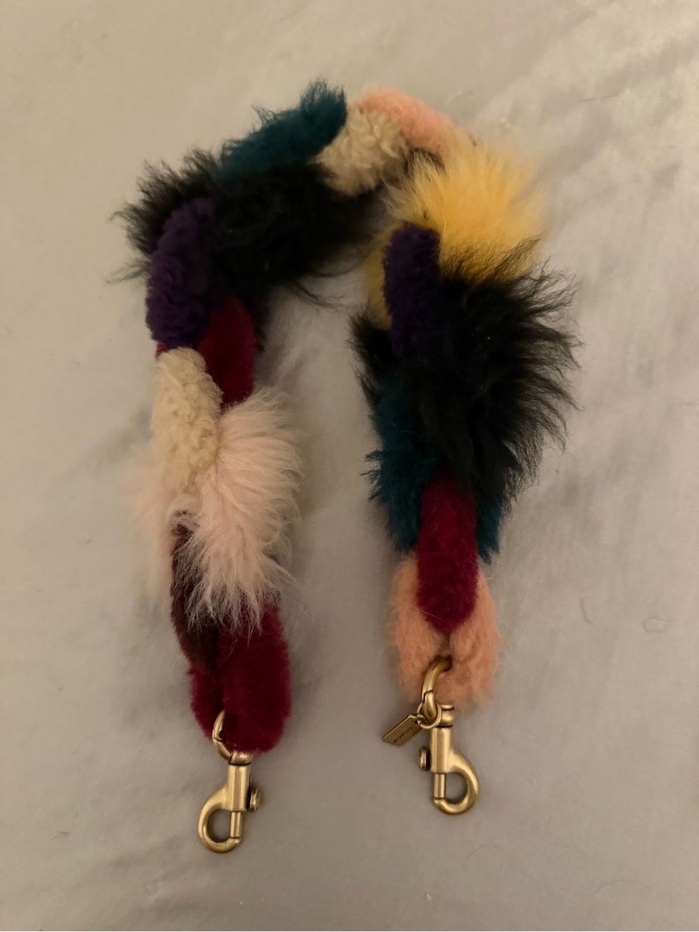 Coach Fury Chain